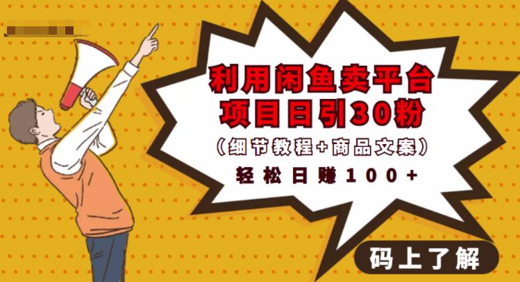 利用闲鱼卖平台项目课程资源日引流30 精准粉丝,轻松日赚100 ,积累人脉可实现二次变现(细节教程 商品文案)-摘星网
