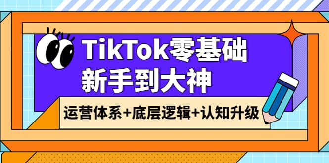TikTok零基础新手到大神：运营体系 底层逻辑 认知升级（9节系列课）-摘星网