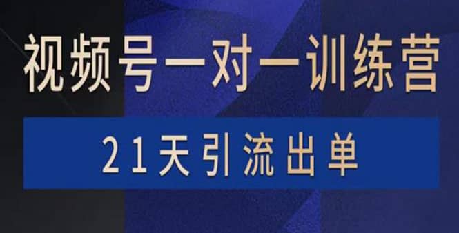 视频号训练营：带货，涨粉，直播，游戏，四大变现新方向，21天引流出单-摘星网