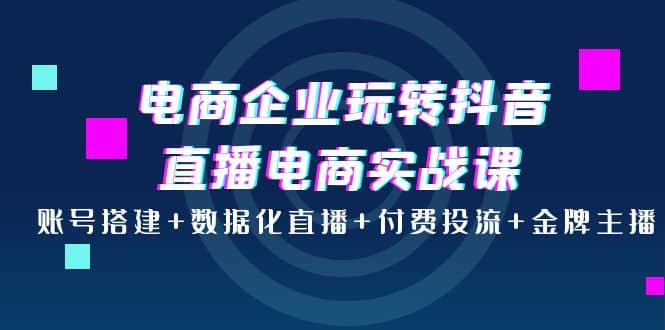 电商企业玩转抖音直播电商实战课:账号搭建 数据化直播 付费投流 金牌主播-摘星网