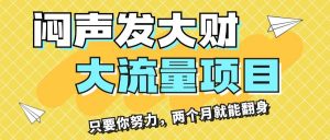 闷声发大财,大流量项目,月收益过3万,只要你努力,两个月就能翻身-摘星网