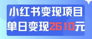 利用小红书卖资料单日引流150人当日变现2610元小白可实操(教程+资料)-摘星网