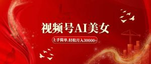 视频号AI美女，上手简单，轻松月入30000+-摘星网
