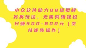 小众软件助力QQ短视频另类玩法,无需剪辑轻松日赚500-800元(支持矩阵...-摘星网