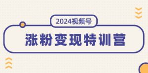 2024视频号-涨粉变现特训营:一站式打造稳定视频号涨粉变现模式(10节)-摘星网
