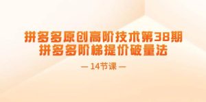 拼多多原创高阶技术第38期,拼多多阶梯提价破量法(14节课)-摘星网