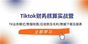 Tiktok财务核算实战营：TK业务模式/数据核算/应收款及毛利/数据下载及报表-摘星网