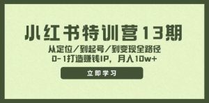 小红书特训营13期，从定位/到起号/到变现全路径，0-1打造赚钱IP，月入10w+-摘星网