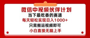 微信中视频伙伴计划，仅靠搬运就能轻松实现日入500+，关键操作还简单，...-摘星网