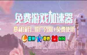 游戏加速器推广，一个月几百到几千的小项目，你看的上么？-摘星网