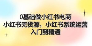0基础做小红书电商,小红书无货源,小红书系统运营,入门到精通 (70节)-摘星网
