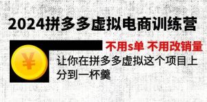 2024拼多多虚拟电商训练营 不s单 不改销量  做虚拟项目分一杯羹(更新10节)-摘星网
