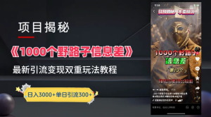 抖音一千个野路子信息差最新玩法教程-变现+引流的玩法具体拆解-摘星网