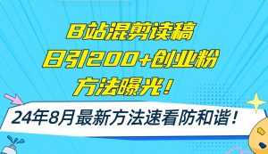 B站混剪读稿日引200+创业粉方法4.0曝光，24年8月最新方法Ai一键操作 速...-摘星网