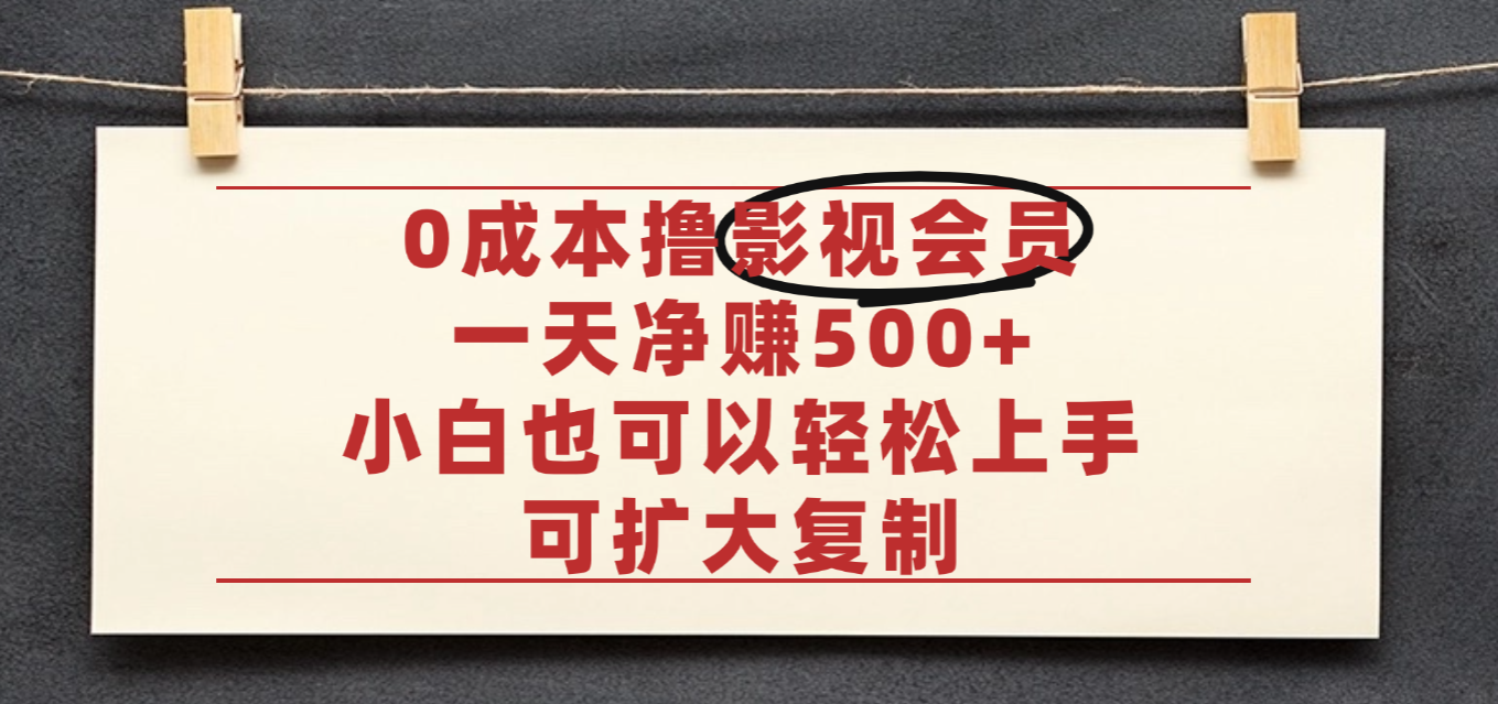 亲测,0成本可批量操作,靠卖影视会员实测月入30000+-摘星网
