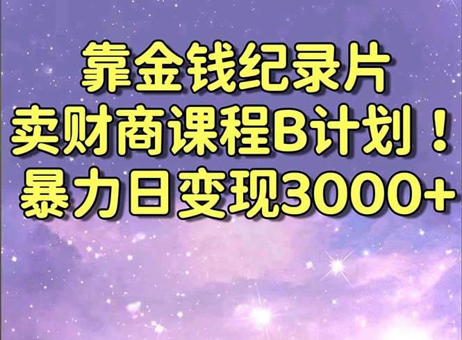 靠金钱纪录片卖财商课程B计划！暴力日变现3000+，喂饭式干货教程！-摘星网
