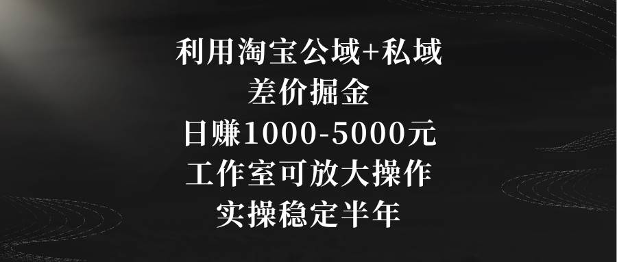 利用淘宝公域+私域差价掘金，日赚1000-5000元，工作室可放大操作，实操...-摘星网