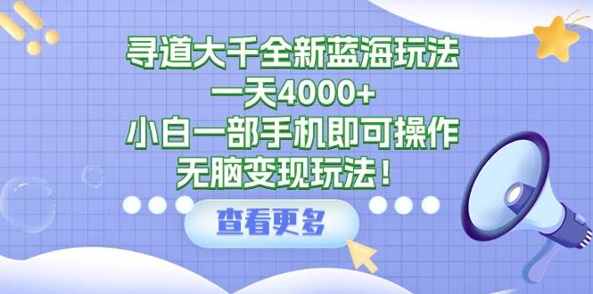 寻道大千全新蓝海玩法，一天4000+，小白一部手机即可操作，无脑变现玩法！-摘星网