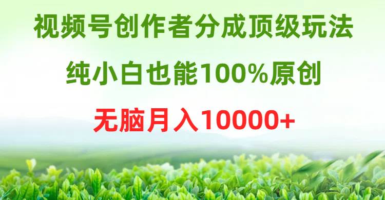 视频号创作者分成顶级玩法,纯小白也能100%原创,无脑月入10000+-摘星网