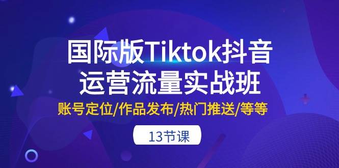 国际版Tiktok抖音运营流量实战班：账号定位/作品发布/热门推送/等等-13节-摘星网