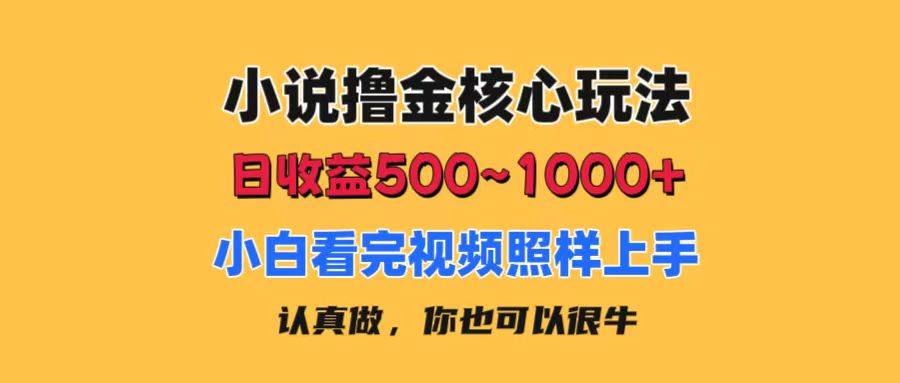 小说撸金核心玩法,日收益500-1000+,小白看完照样上手,0成本有手就行-摘星网